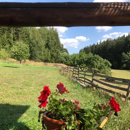 Hébergement de vacances Srub Karpatsky